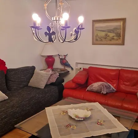 Grosses Ferienwohnung Mit Wunderschoener Terrasse Und Aussicht Apartment